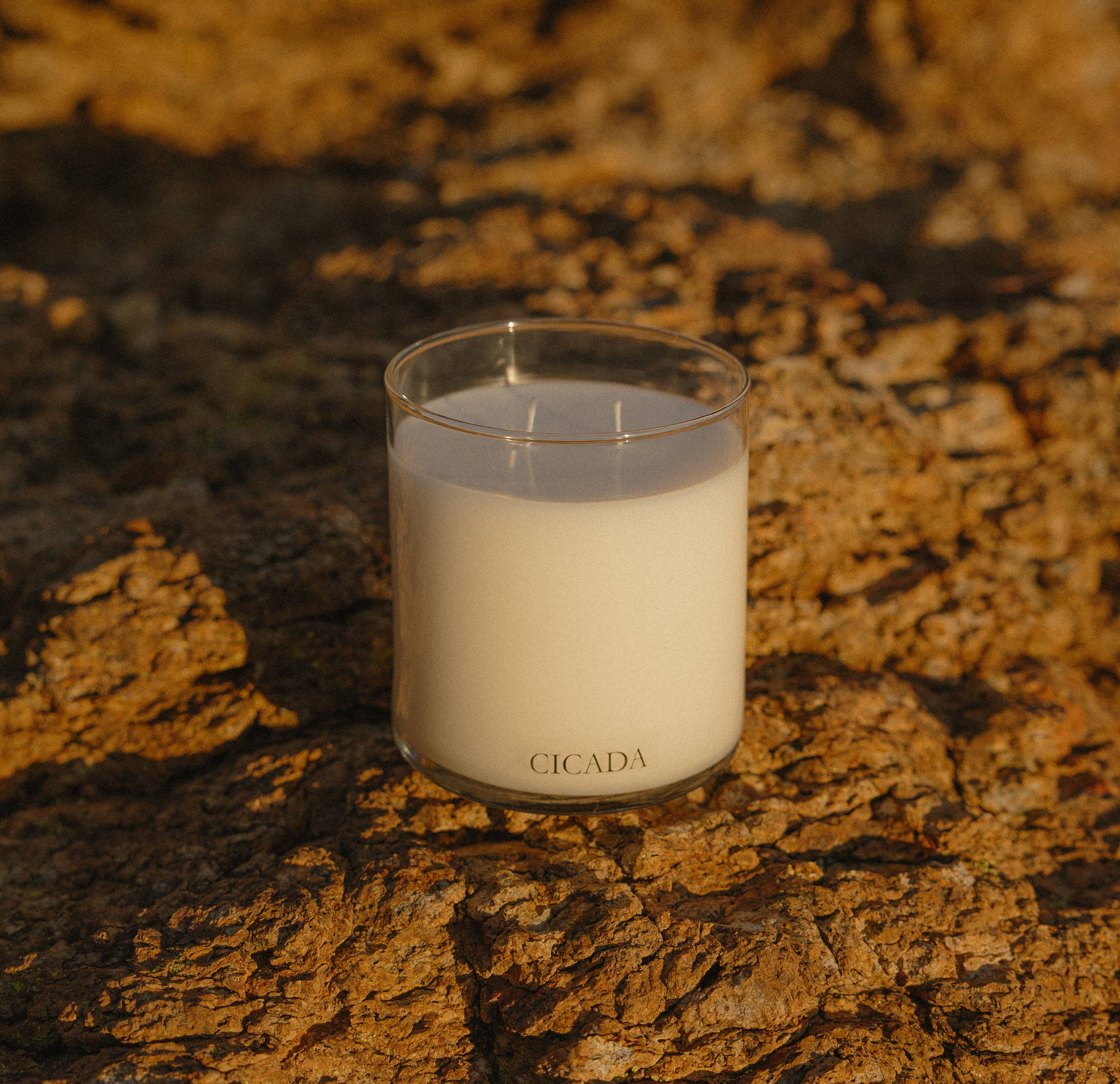 No. 02 Large Candle | Sunshine in the Desert