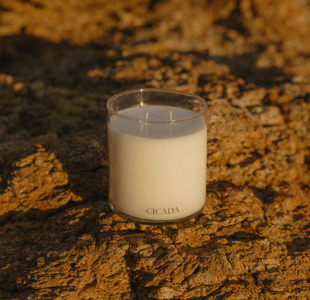 No. 07 Large Candle | Catalina Mountains
