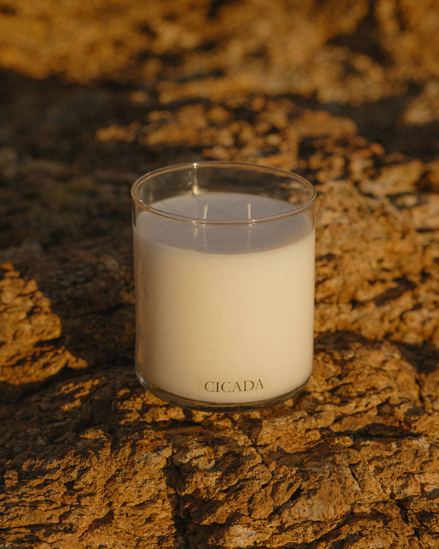 No. 07 Large Candle | Catalina Mountains