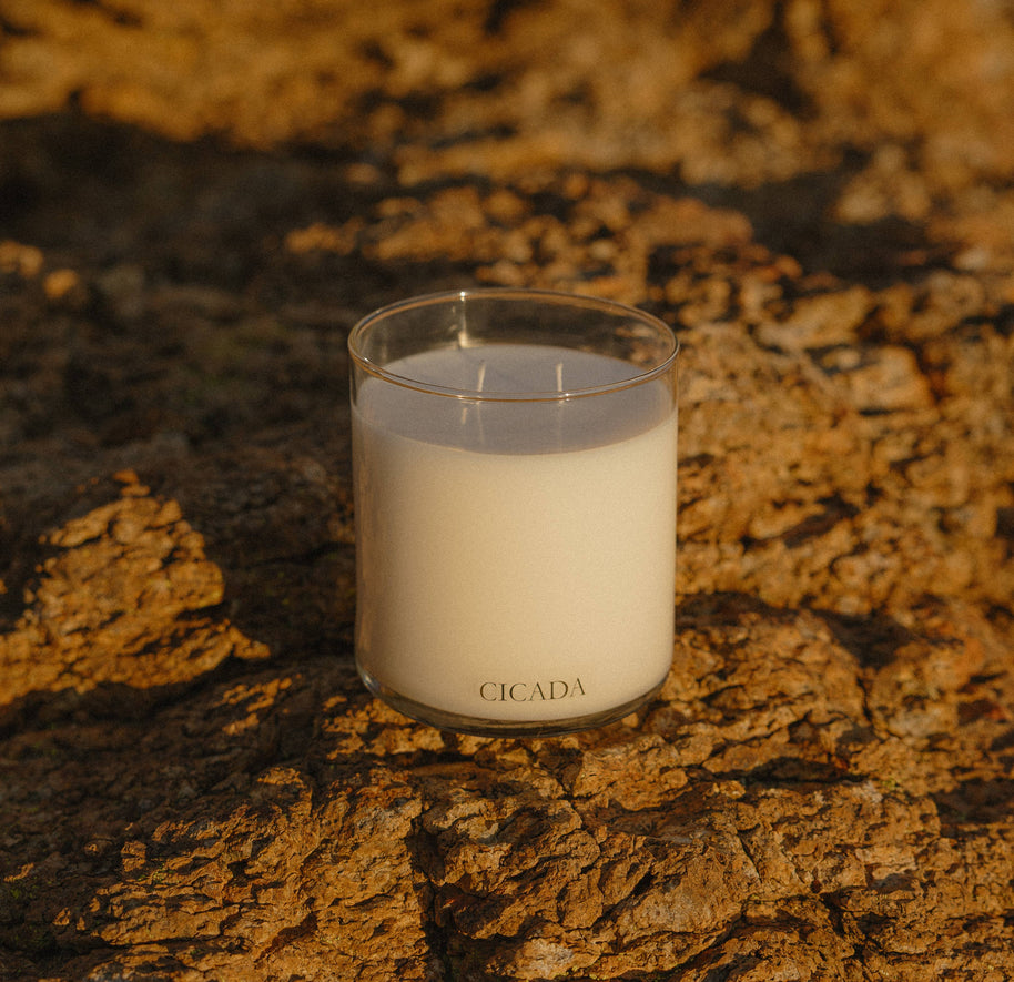 No. 08 Large Candle | Desert Meadows
