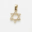 14k Yellow Gold Diamond Jewish Star of David Pendant - Room Eight - Bareket Fine Jewelry