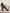 Beyond Yoga Spacedye Caught in the Midi High Waisted Legging - Army Green Heather 