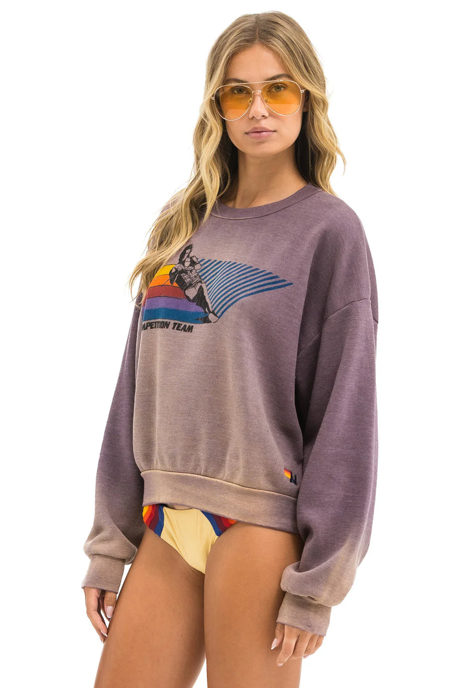 Aviator Nation Water Skier Crew Sweatshirt Faded Mocha 
