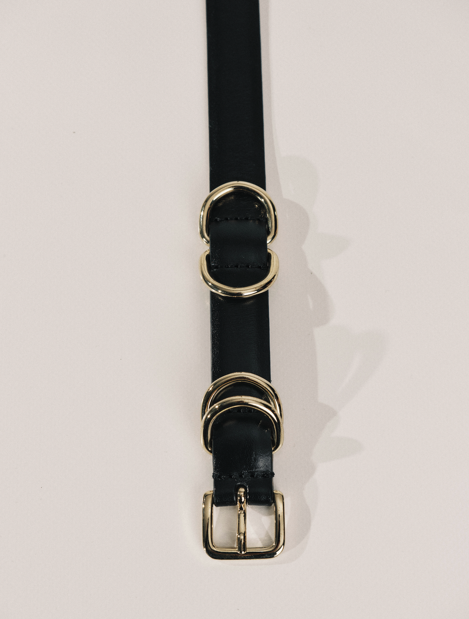 Déhanche Constance Belt Black and Gold Dehanche 