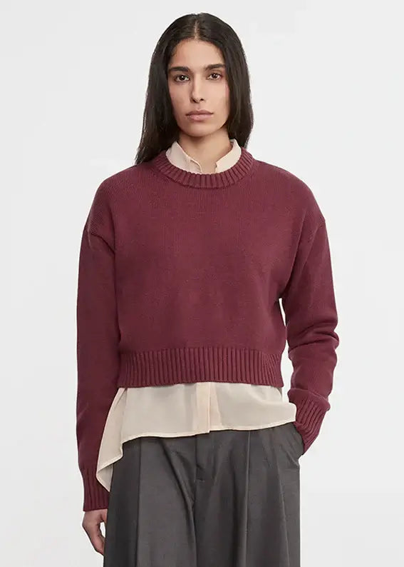 Chunky Cotton Cashmere Sweater | Sanguine