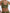 Love Stories Posey Sporty Bra Green Knit Bra Set