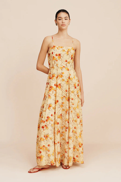 Posse Paloma Maxi Dress in Citrus Floral Spring Dress
