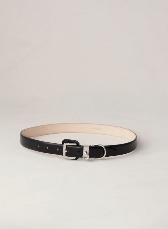 Dehanche Jolinard Belt in Black and Silver 