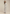 Favorite Daughter The Low Favorite Satin Pant Satin Ivory 