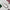 files/TULIP_WRISTLET_0080_jpg.webp