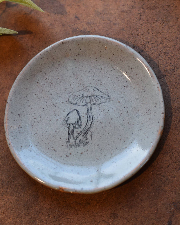 Mini Plates