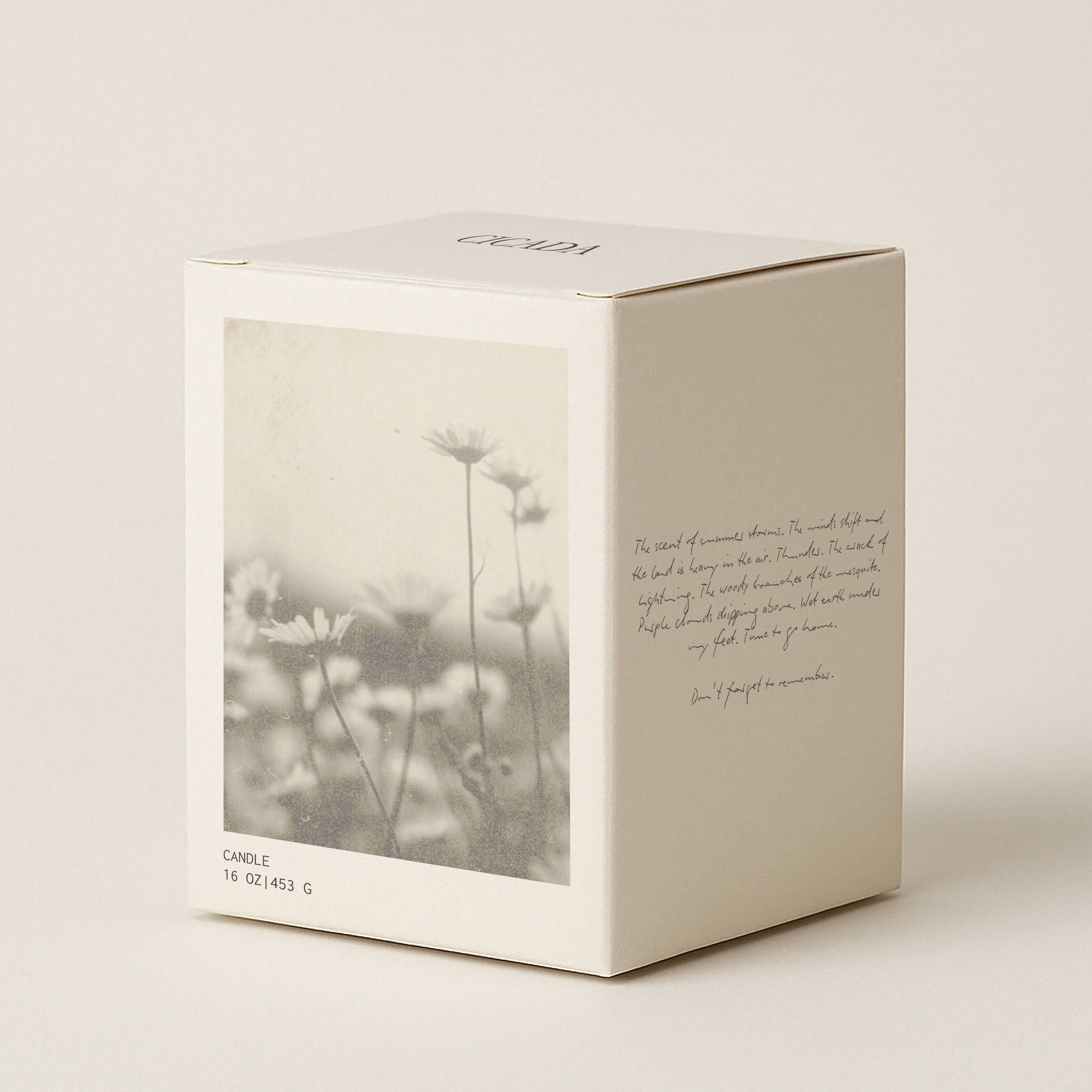 No. 08 Large Candle | Desert Meadows
