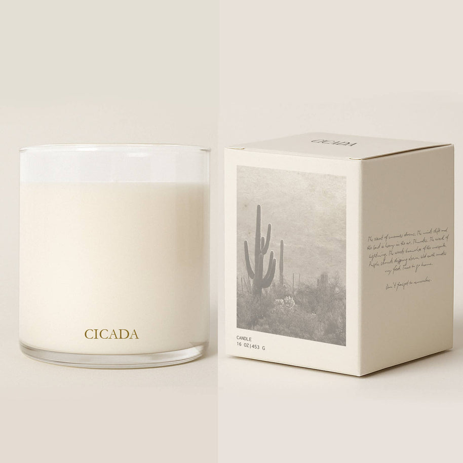 No. 01 Large Candle | Summer Storms