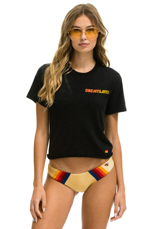 Aviator Nation Dreamland Logo Boyfriend Boyfriend Tee