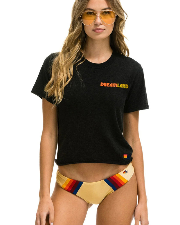 Aviator Nation Dreamland Logo Boyfriend Boyfriend Tee