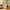 Rahua Legendary Amazon Oil™ - Room Eight - Rahua